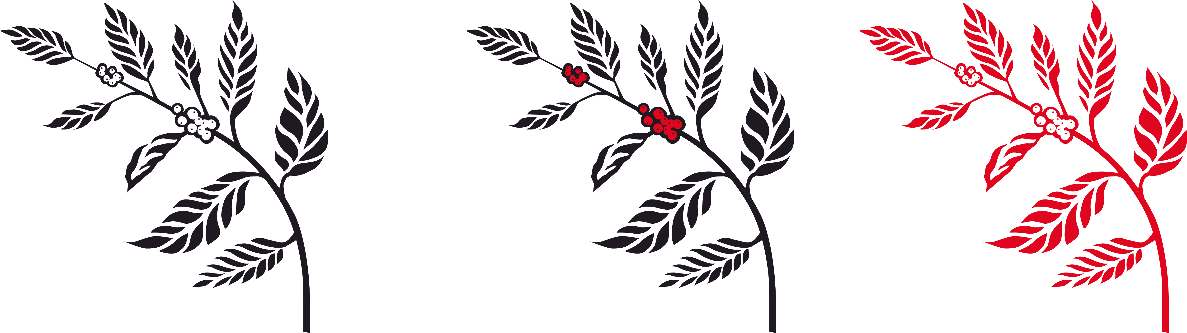 melody_fine-roastery_symbol-structure_JPG