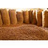 Lieskovce pražené 150g